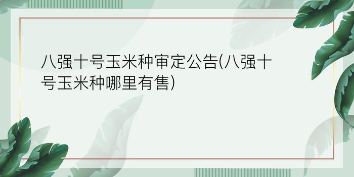 八强十号玉米种审定公告(八强十号玉米种哪里有售)