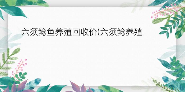 六须鲶鱼养殖回收价(六须鲶养殖)