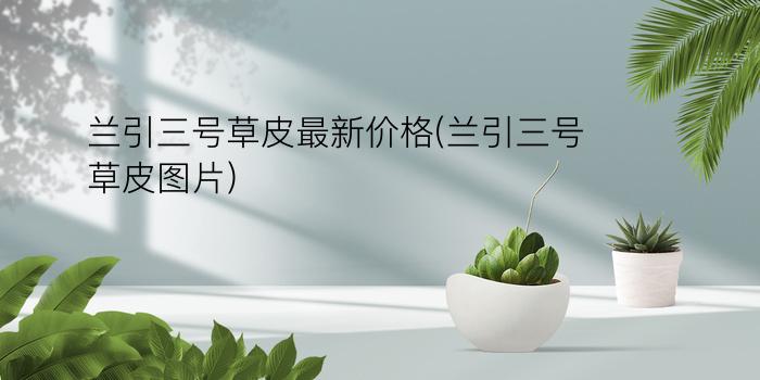 兰引三号草皮最新价格(兰引三号草皮图片)