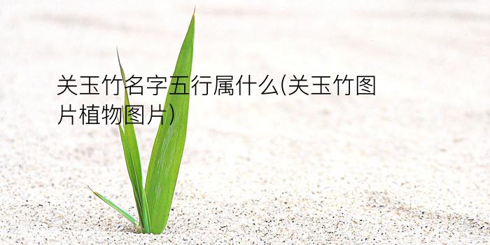 关玉竹名字五行属什么(关玉竹图片植物图片)