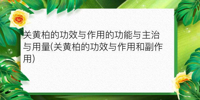 关黄柏的功效与作用的功能与主治与用量(关黄柏的功效与作用和副作用)