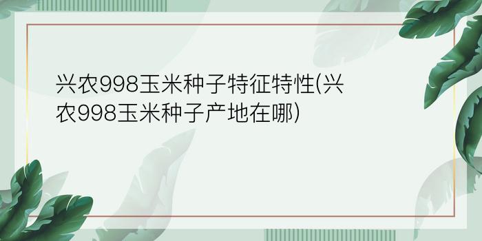 兴农998玉米种子特征特性(兴农998玉米种子产地在哪)