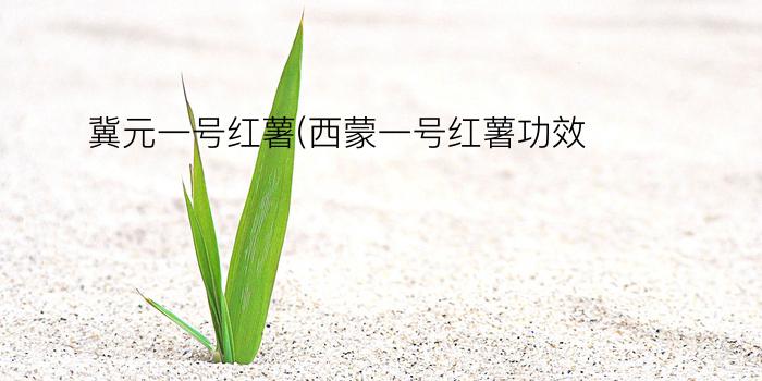 冀元一号红薯(西蒙一号红薯功效)