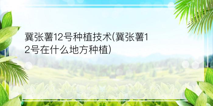 冀张薯12号种植技术(冀张薯12号在什么地方种植)