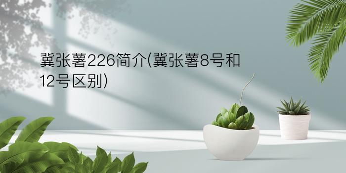 冀张薯226简介(冀张薯8号和12号区别)