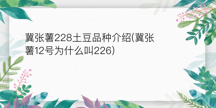 冀张薯228土豆品种介绍(冀张薯12号为什么叫226)