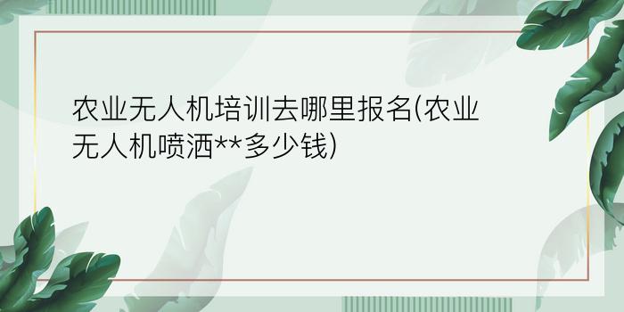 农业无人机培训去哪里报名(农业无人机喷洒**多少钱)