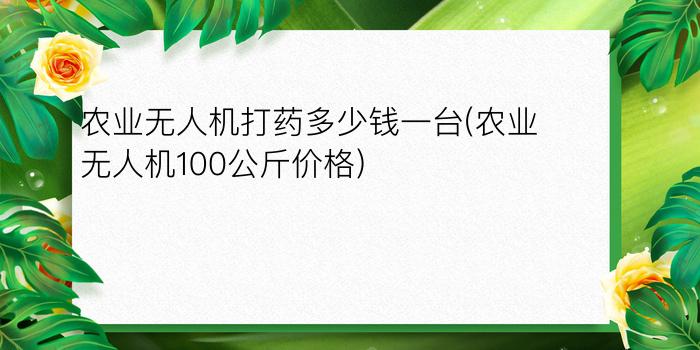 农业无人机打药多少钱一台(农业无人机100公斤价格)