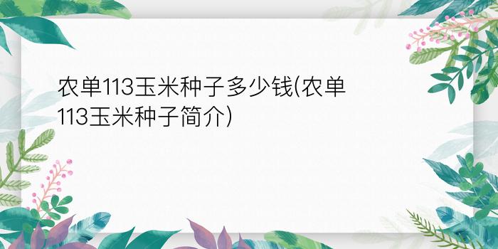 农单113玉米种子多少钱(农单113玉米种子简介)