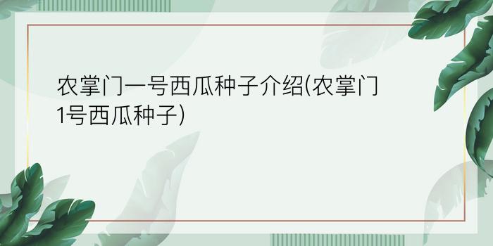 农掌门一号西瓜种子介绍(农掌门1号西瓜种子)