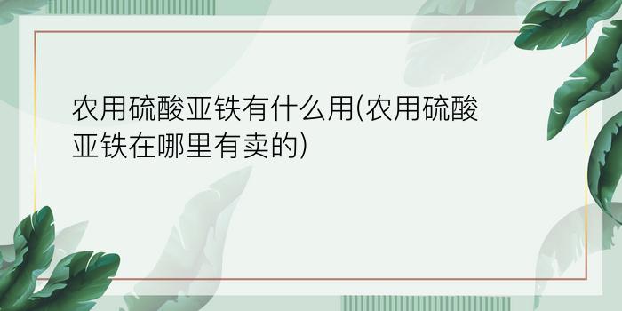 农用硫酸亚铁有什么用(农用硫酸亚铁在哪里有卖的)