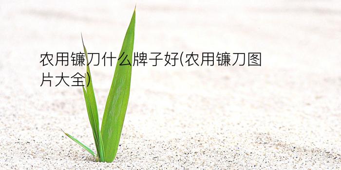 农用镰刀什么牌子好(农用镰刀图片大全)