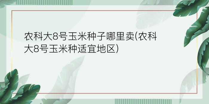 农科大8号玉米种子哪里卖(农科大8号玉米种适宜地区)