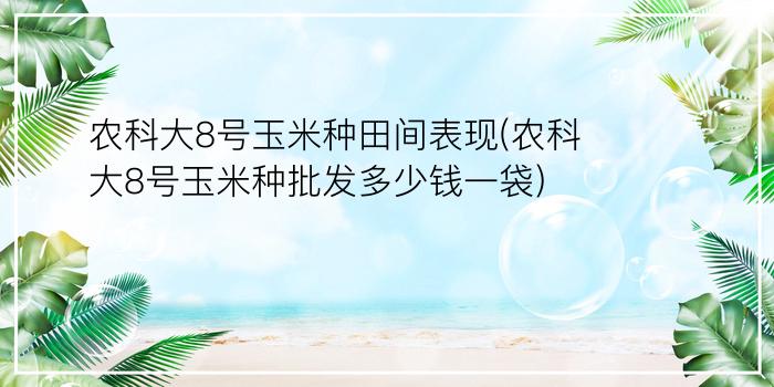 农科大8号玉米种田间表现(农科大8号玉米种批发多少钱一袋)