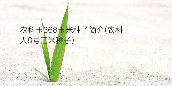 农科玉368玉米种子简介(农科大8号玉米种子)