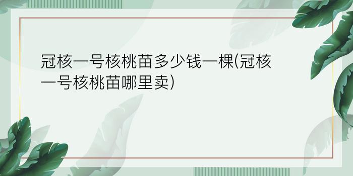 冠核一号核桃苗多少钱一棵(冠核一号核桃苗哪里卖)