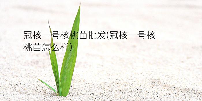 冠核一号核桃苗批发(冠核一号核桃苗怎么样)