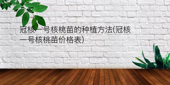 冠核一号核桃苗的种植方法(冠核一号核桃苗价格表)