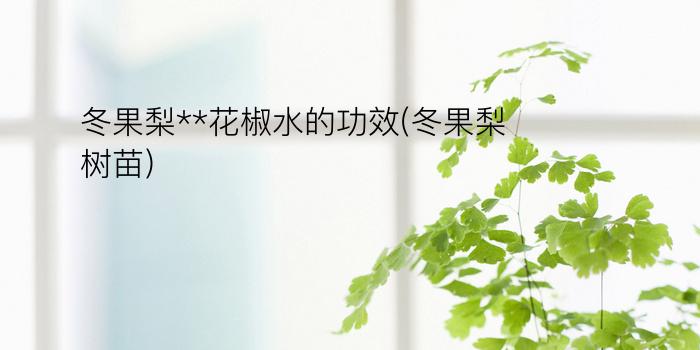 冬果梨**花椒水的功效(冬果梨树苗)