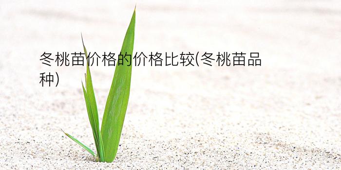 冬桃苗价格的价格比较(冬桃苗品种)