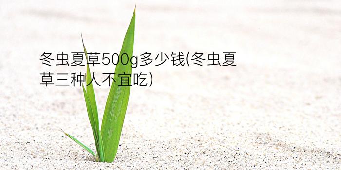 冬虫夏草500g多少钱(冬虫夏草三种人不宜吃)