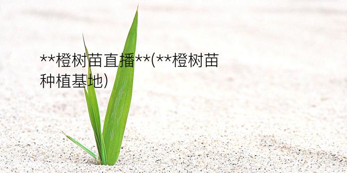 **橙树苗直播**(**橙树苗种植基地)