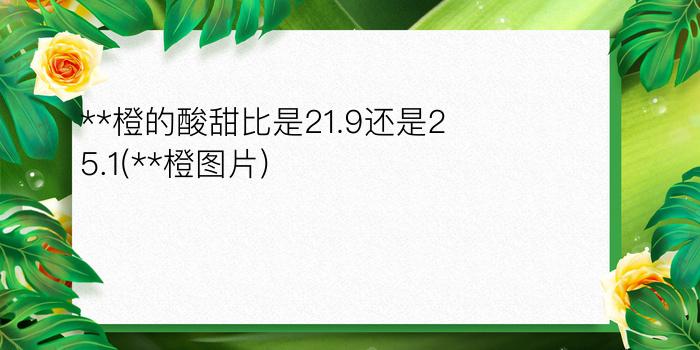 **橙的酸甜比是21.9还是25.1(**橙图片)