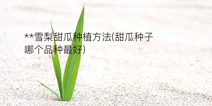 **雪梨甜瓜种植方法(甜瓜种子哪个品种最好)