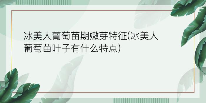 冰美人葡萄苗期嫩芽特征(冰美人葡萄苗叶子有什么特点)