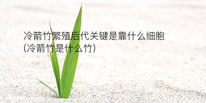 冷箭竹繁殖后代关键是靠什么细胞(冷箭竹是什么竹)