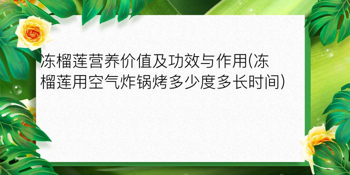 冻榴莲营养价值及功效与作用(冻榴莲用空气炸锅烤多少度多长时间)