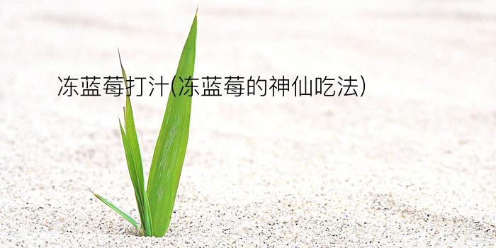 冻蓝莓打汁(冻蓝莓的神仙吃法)