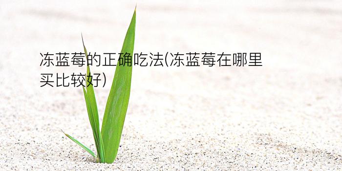 冻蓝莓的正确吃法(冻蓝莓在哪里买比较好)