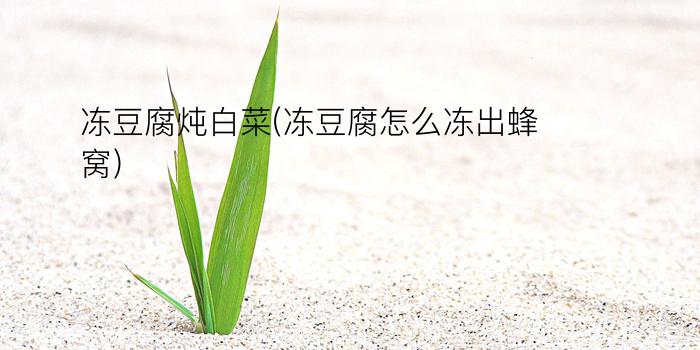 冻豆腐炖白菜(冻豆腐怎么冻出蜂窝)