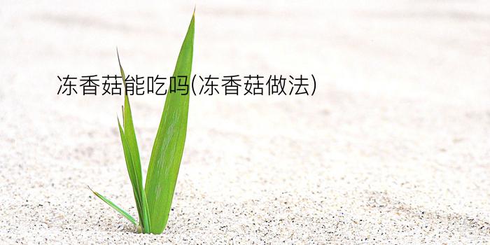 冻香菇能吃吗(冻香菇做法)