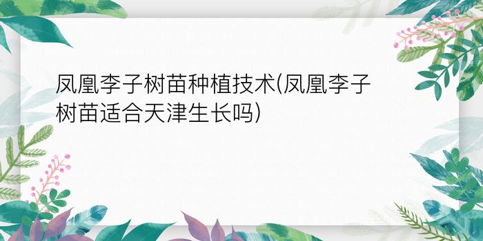 凤凰李子树苗种植技术(凤凰李子树苗适合天津生长吗)