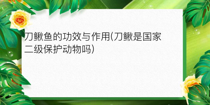 刀鳅鱼的功效与作用(刀鳅是国家二级保护动物吗)