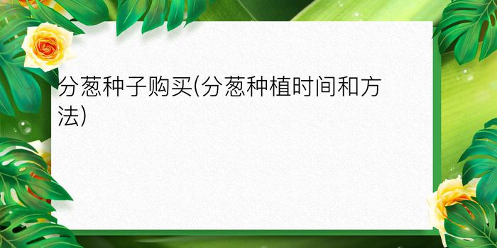 分葱种子购买(分葱种植时间和方法)