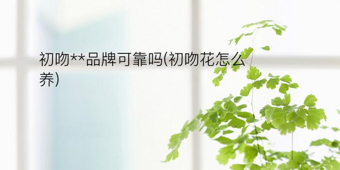 初吻**品牌可靠吗?(初吻花怎么养)