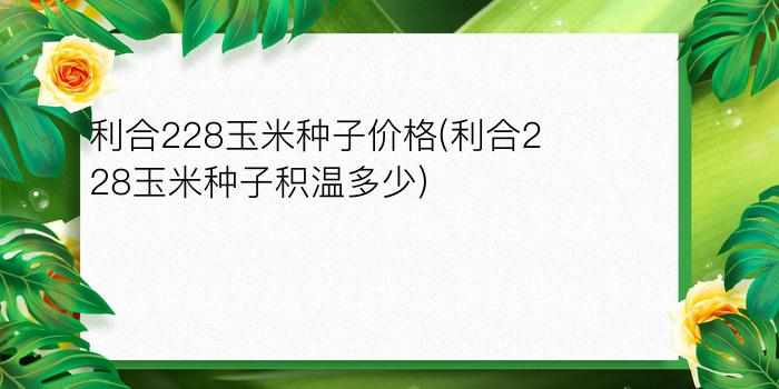 利合228玉米种子价格(利合228玉米种子积温多少)