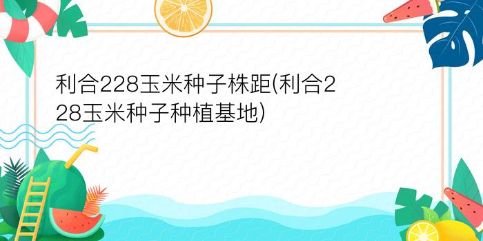 利合228玉米种子株距(利合228玉米种子种植基地)