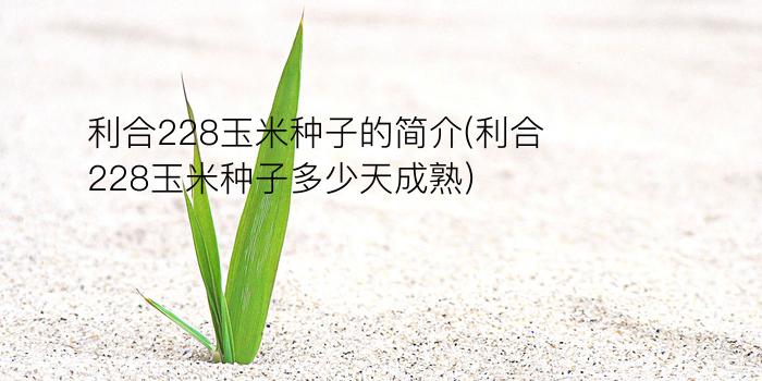 利合228玉米种子的简介(利合228玉米种子多少天成熟)