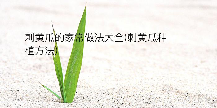 刺黄瓜的家常做法大全(刺黄瓜种植方法)