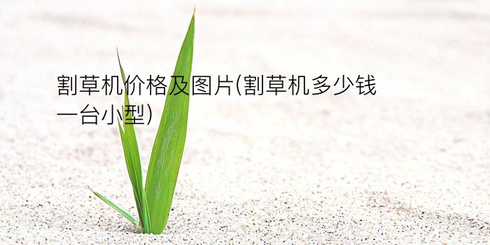 割草机价格及图片(割草机多少钱一台小型)