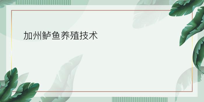 加州鲈鱼养殖技术