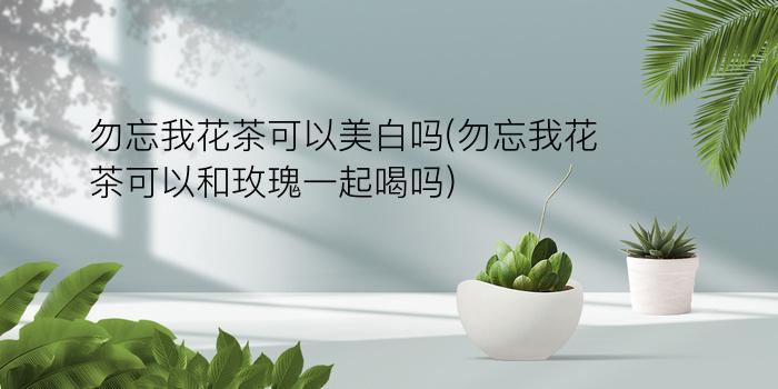 勿忘我花茶可以美白吗(勿忘我花茶可以和玫瑰一起喝吗)