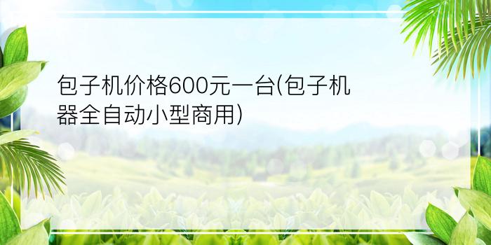 包子机价格600元一台(包子机器全自动小型商用)