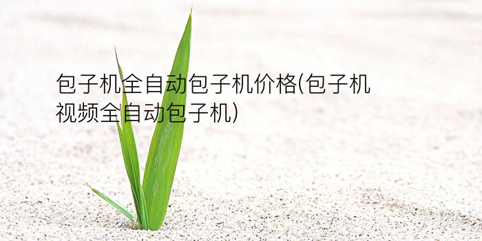 包子机全自动包子机价格(包子机视频全自动包子机)