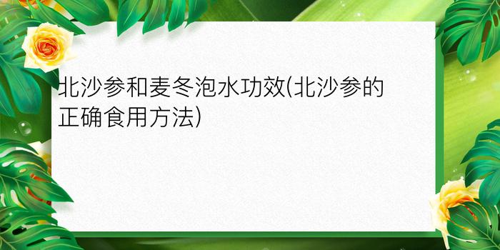 北沙参和麦冬泡水功效(北沙参的正确食用方法)