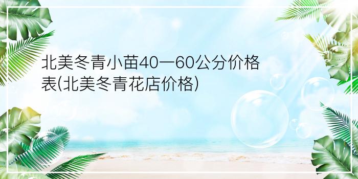 北美冬青小苗40一60公分价格表(北美冬青花店价格)